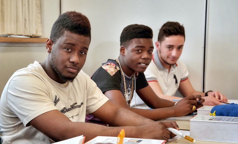 Tremplin DEC Enseignement du français hors du Québec