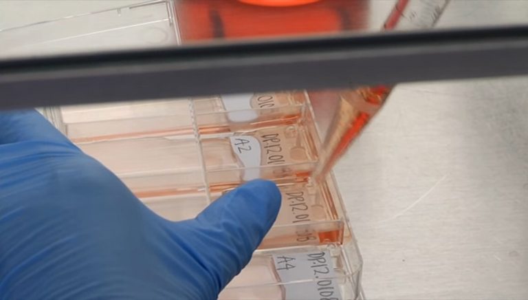 Cytogénétique clinique