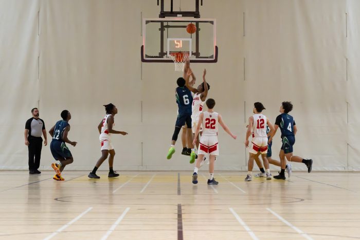 Gaulois - Basketball masculin