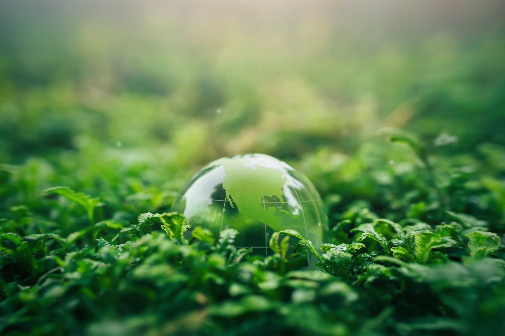 Développement durable, environnement et écocitoyenneté