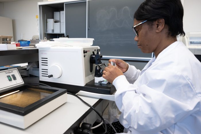 Histopathologie dans le laboratoire d'analyses biomédicales